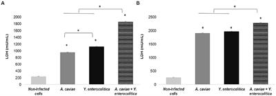 Interactions between Aeromonas caviae and Yersinia enterocolitica isolated from a case of diarrhea: evaluation of antimicrobial susceptibility and immune response of infected macrophages